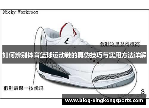 如何辨别体育篮球运动鞋的真伪技巧与实用方法详解