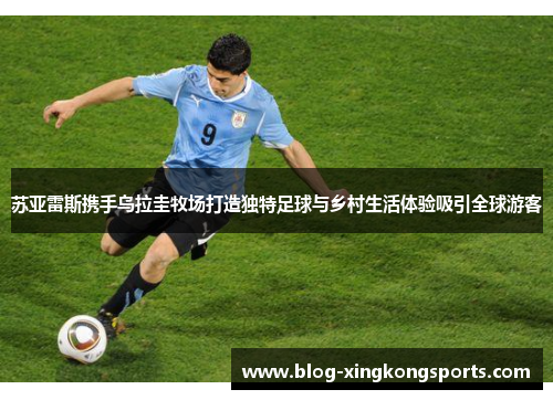 苏亚雷斯携手乌拉圭牧场打造独特足球与乡村生活体验吸引全球游客