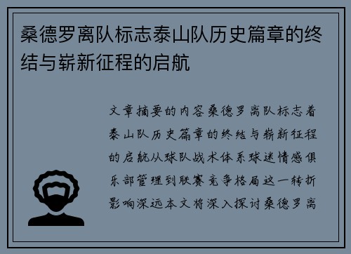 桑德罗离队标志泰山队历史篇章的终结与崭新征程的启航