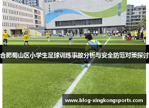 合肥蜀山区小学生足球训练事故分析与安全防范对策探讨