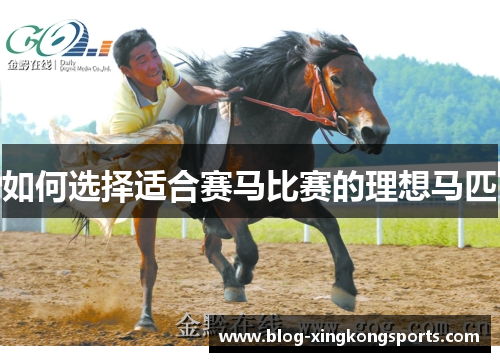 如何选择适合赛马比赛的理想马匹