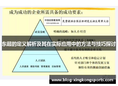 东超的定义解析及其在实际应用中的方法与技巧探讨