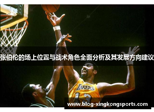 张伯伦的场上位置与战术角色全面分析及其发展方向建议