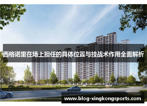 西格诺里在场上担任的具体位置与技战术作用全面解析